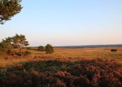 Le Cerf natuurhuisje Emst